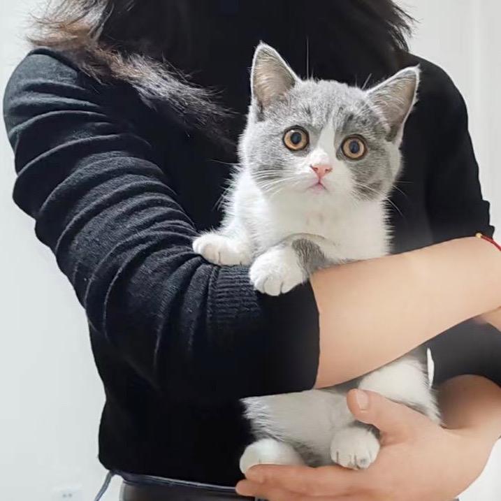 风暴来自你的心-