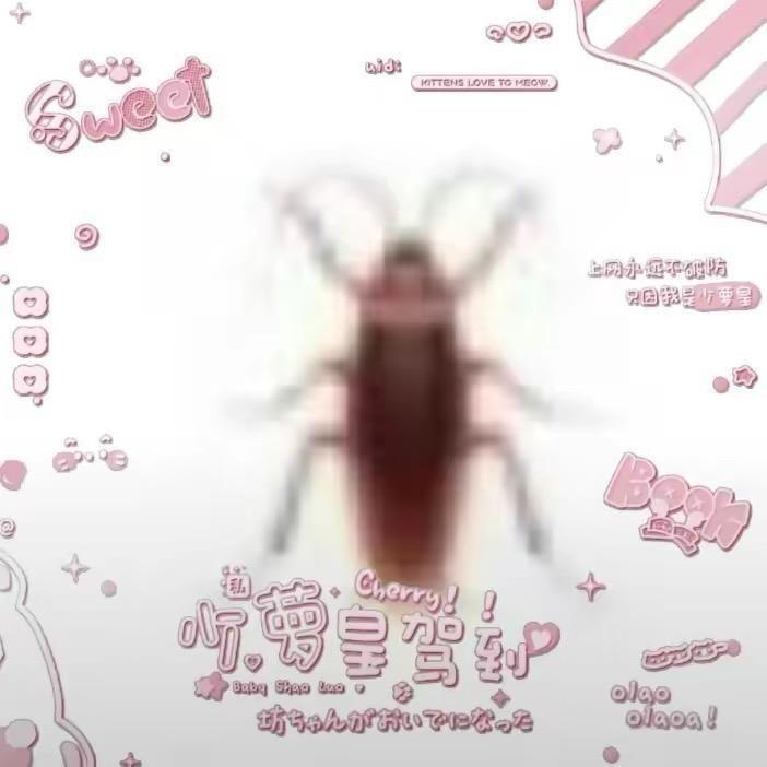 烫死蟑螂