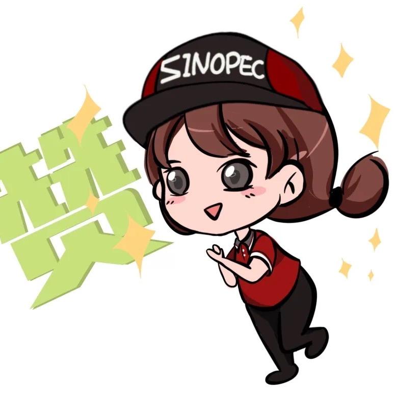 中国石化淄博高青公司