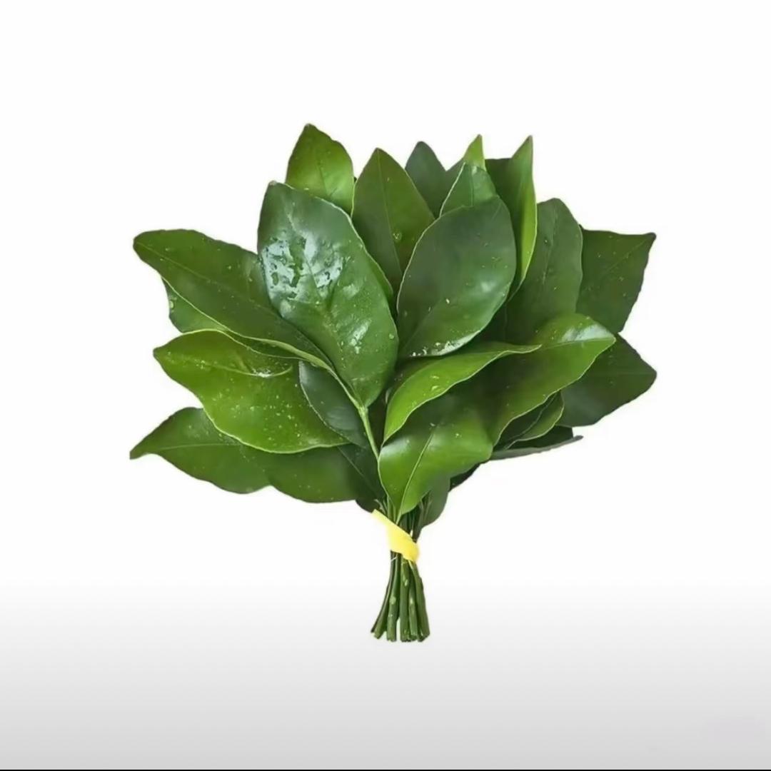 丑丑~