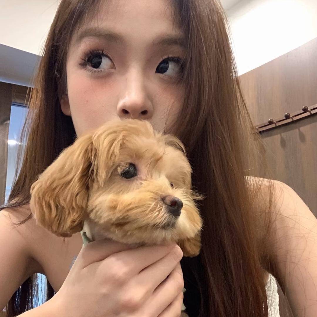 莲