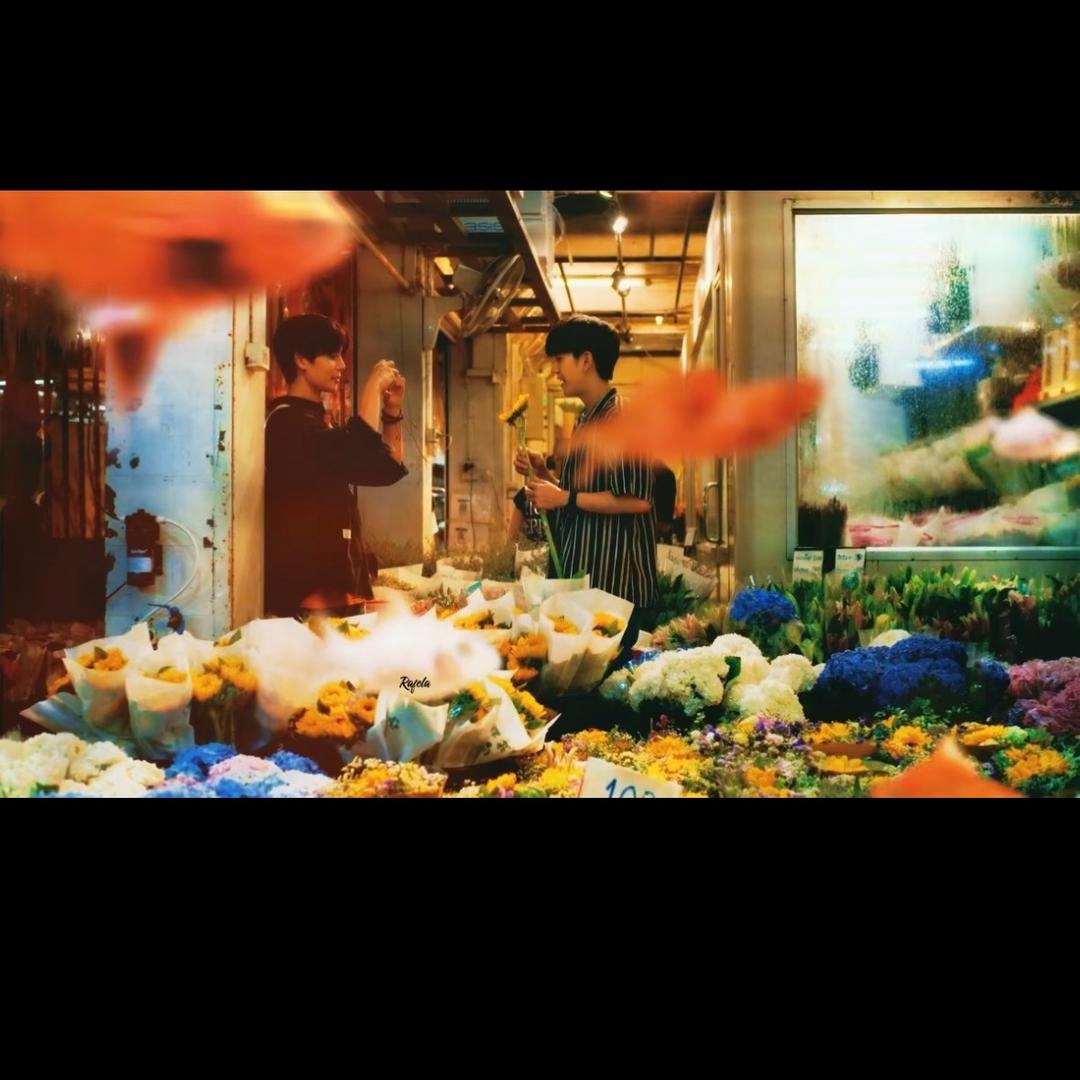 头发超多的朵拉