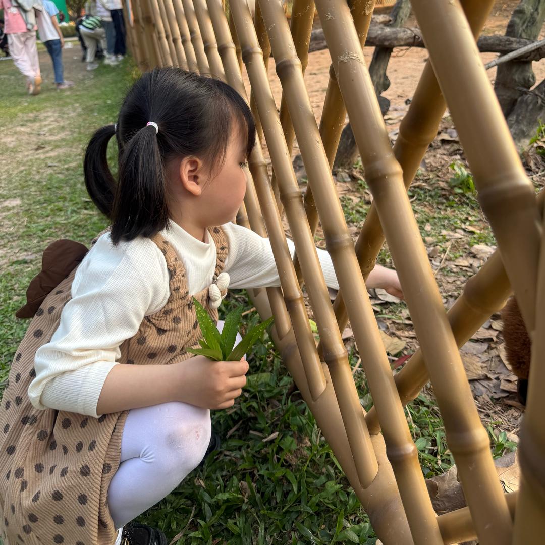 喵喵酱