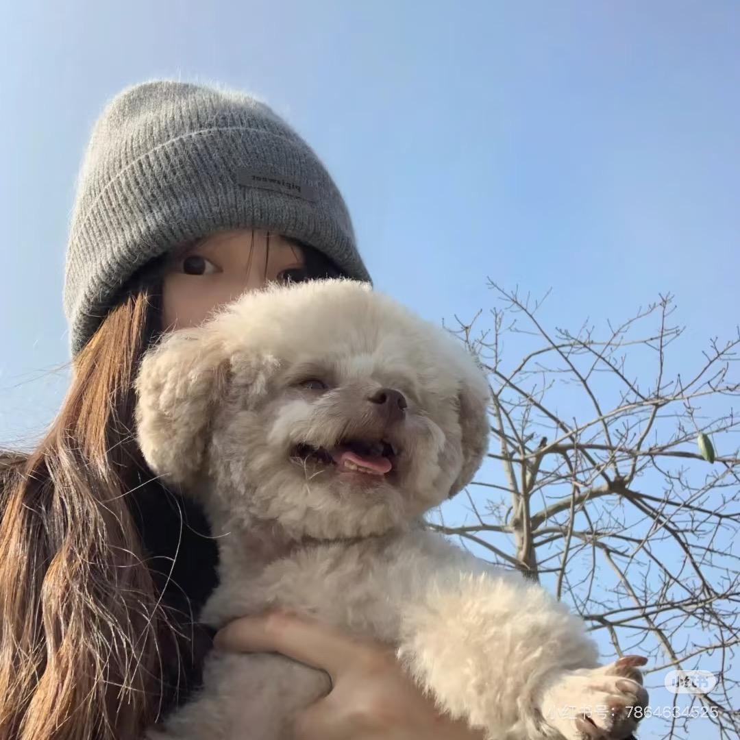爱在逃