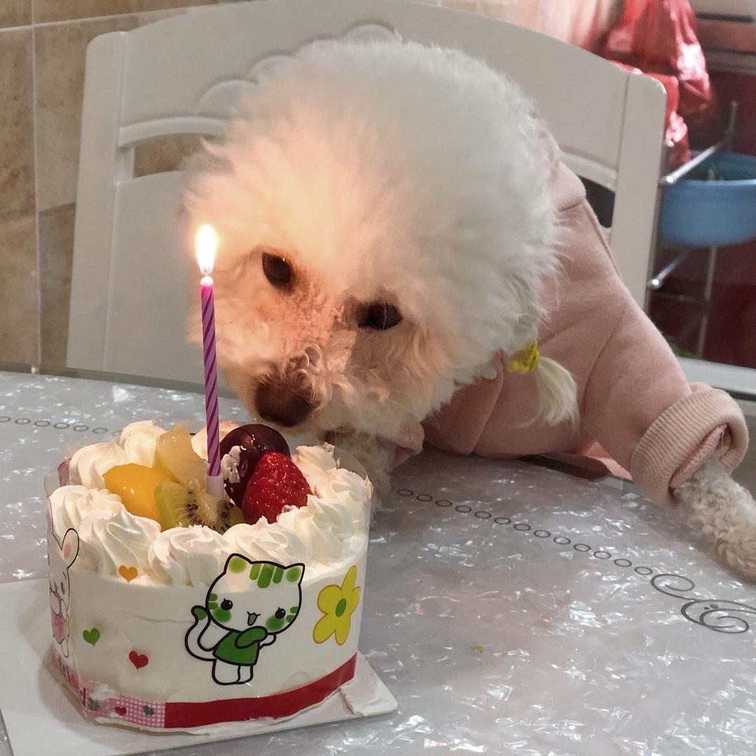 🌸兰得一见💕