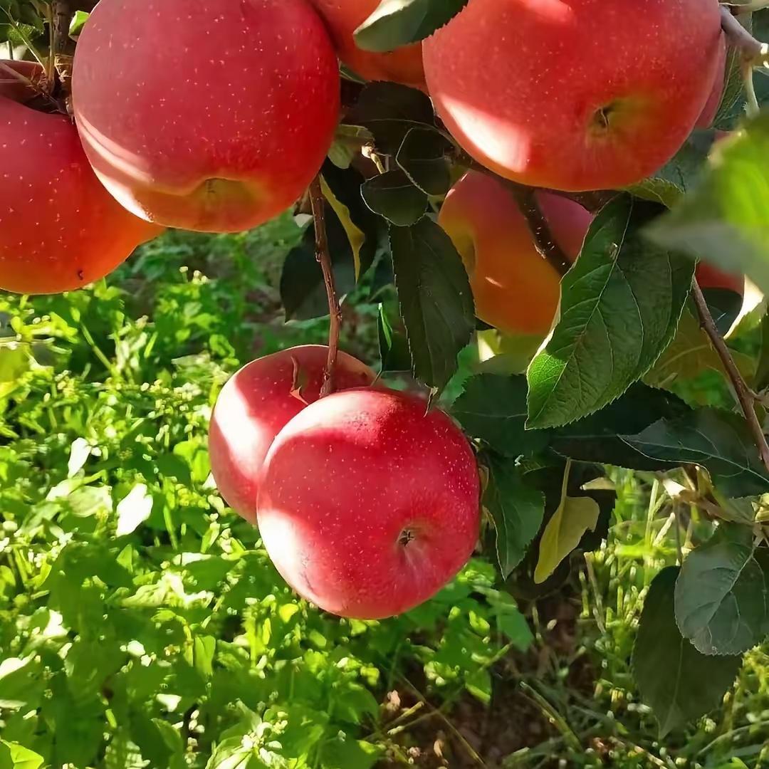 广州利殆商贸有限公司