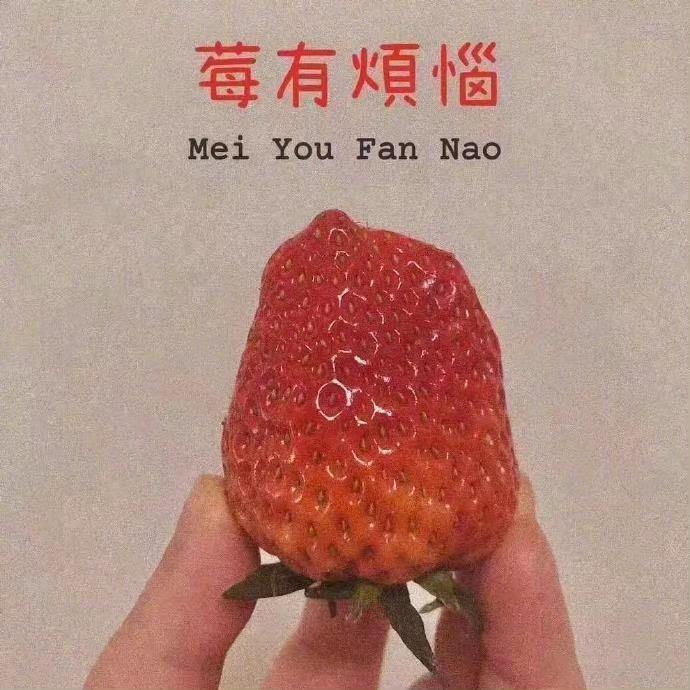 噗噗💨 💨