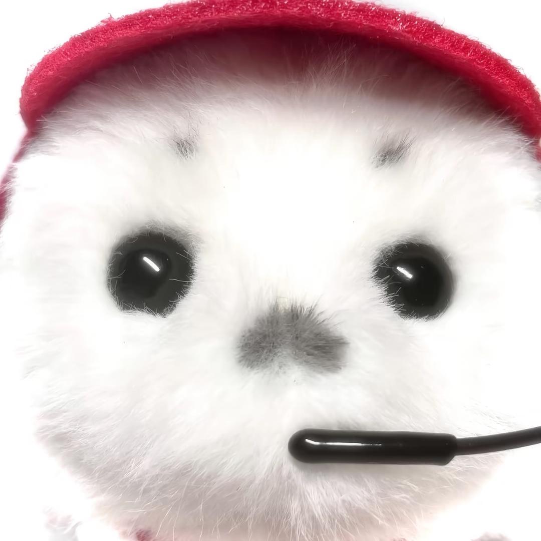 小酸菜o.O