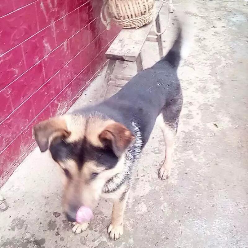 佳琪啊😘