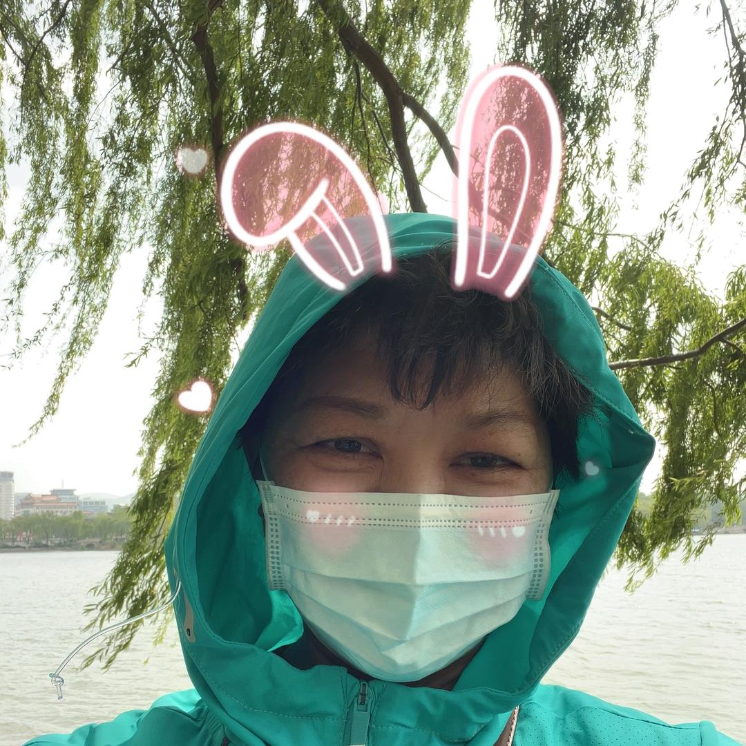 喜欢我的踏板