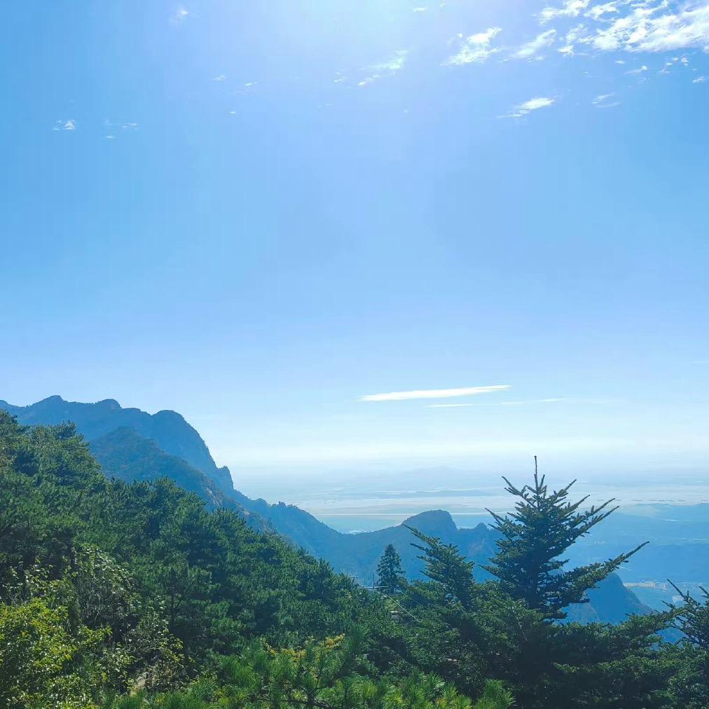 🇨🇳会飞的鱼