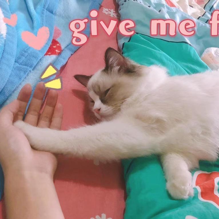 SimBXple