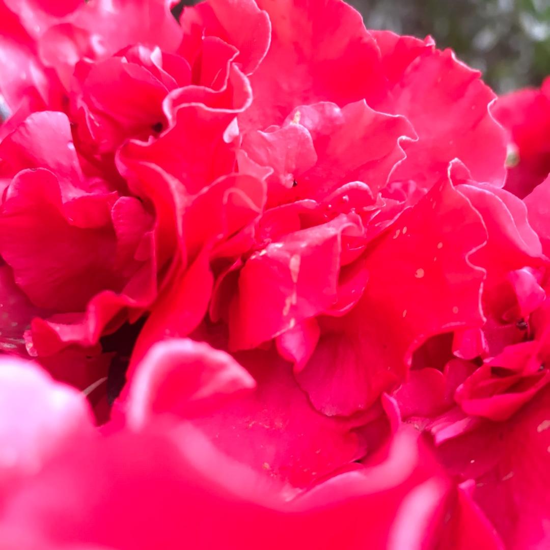 ～－～我们都幸福