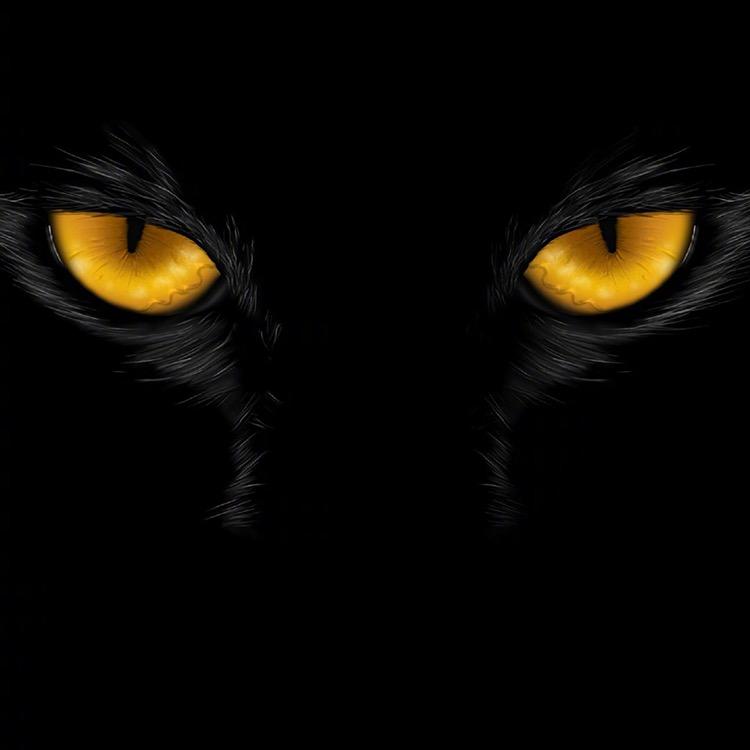 废品回收一站式服务