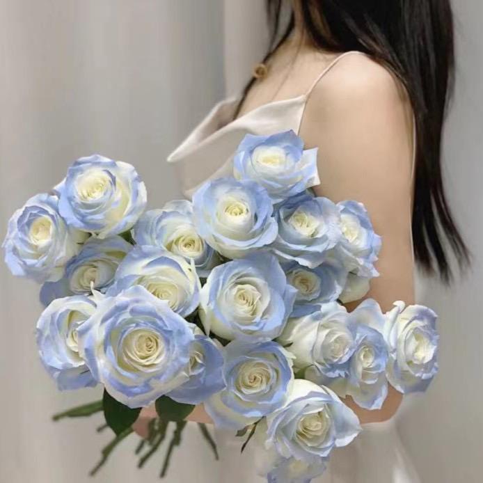 西米鲜花