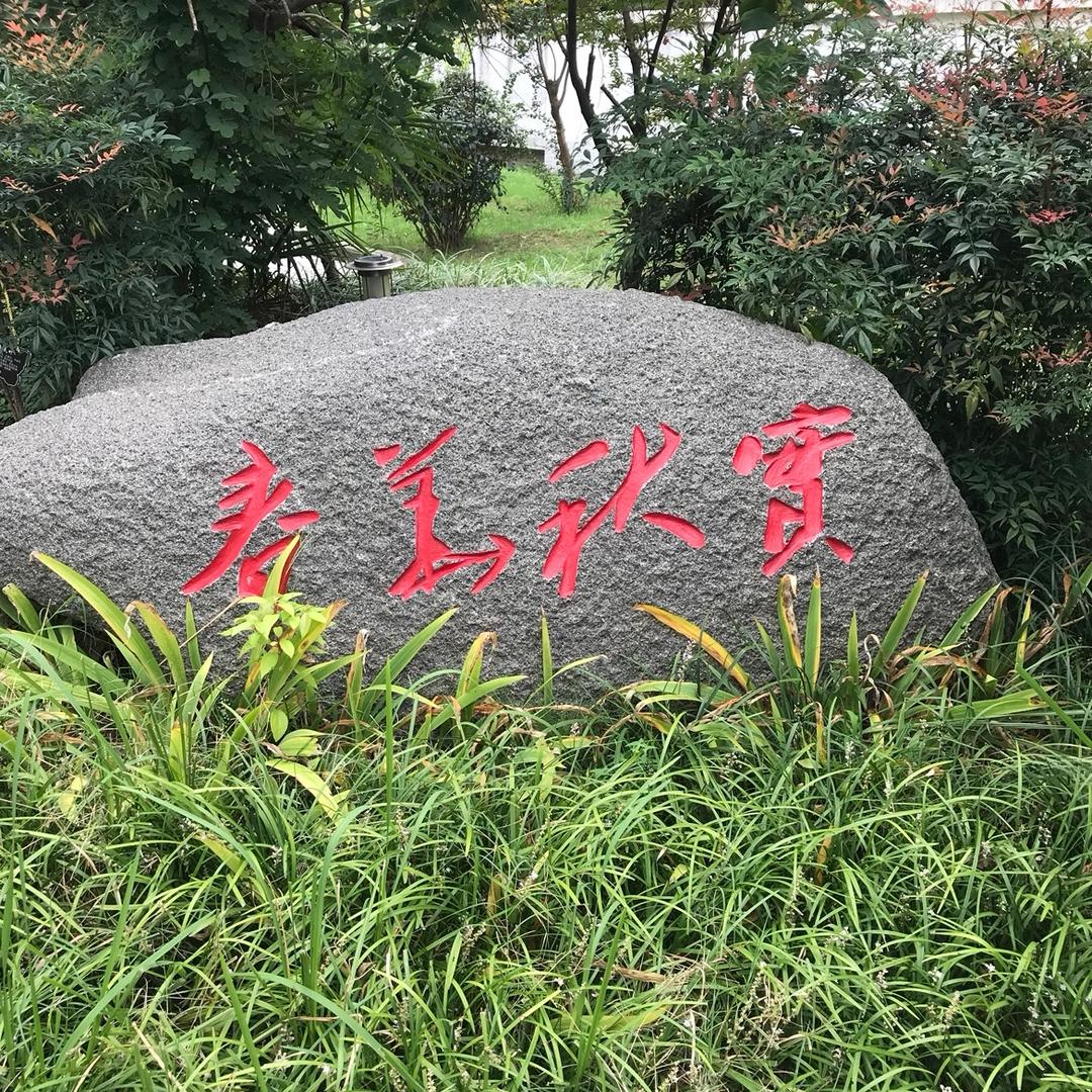 未来可期%