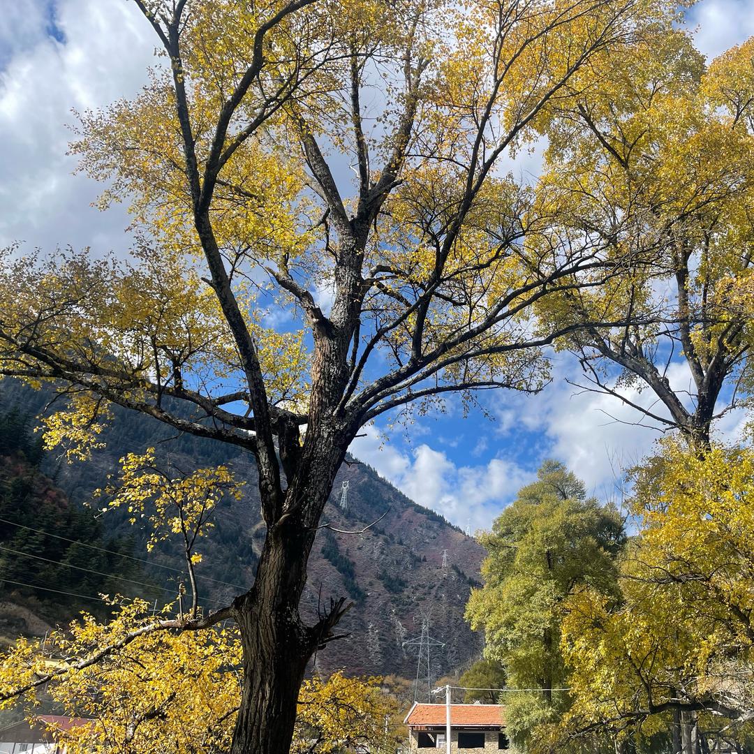 梦想会发光