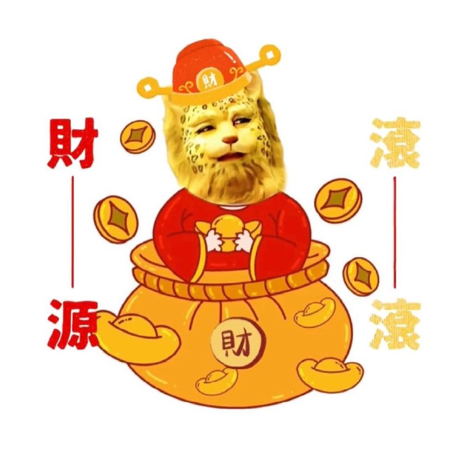 ylzz头像