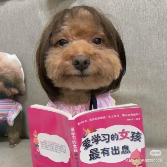 黑米夹心