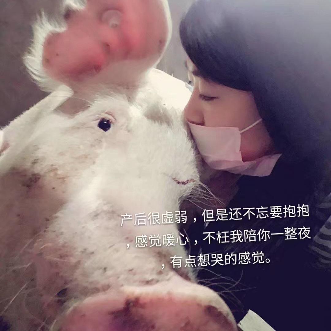 暴躁棋