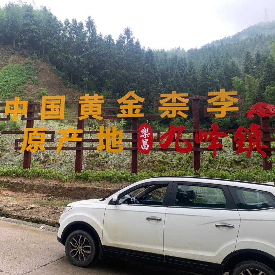 九峰山果园直供