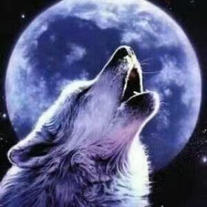 珍惜美好🌹❤️