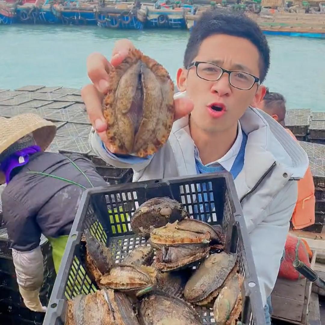 飞鲜～巴浪鱼供应链