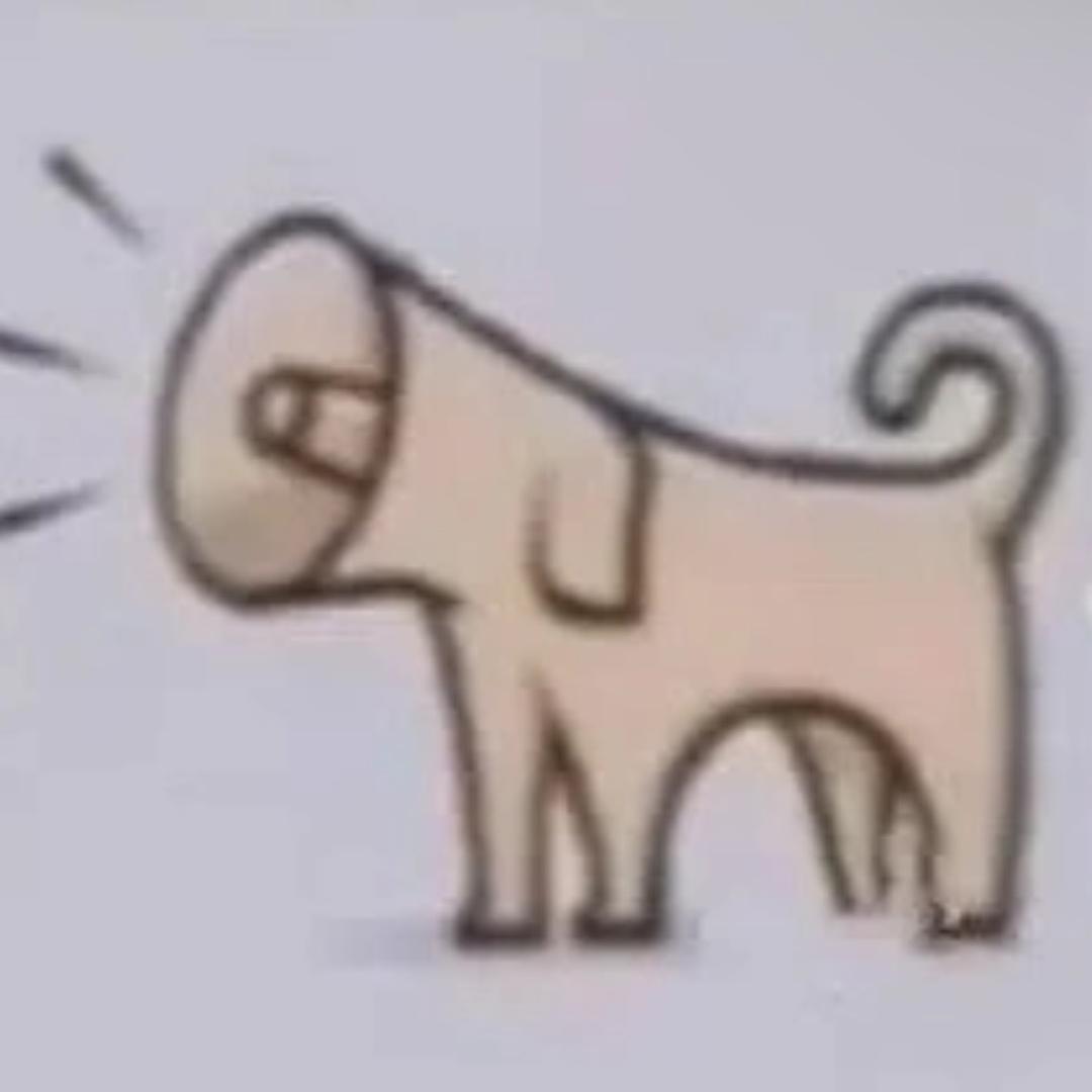 茜茜bo