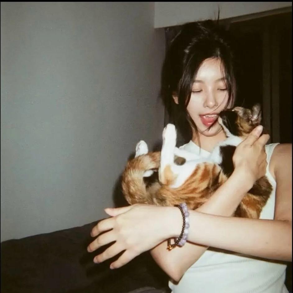 爱已欠费