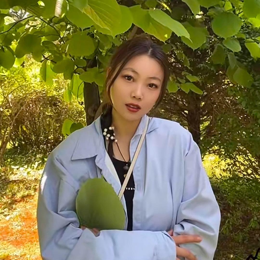 嘉慧
