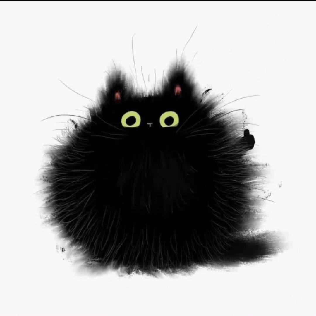 特猫头