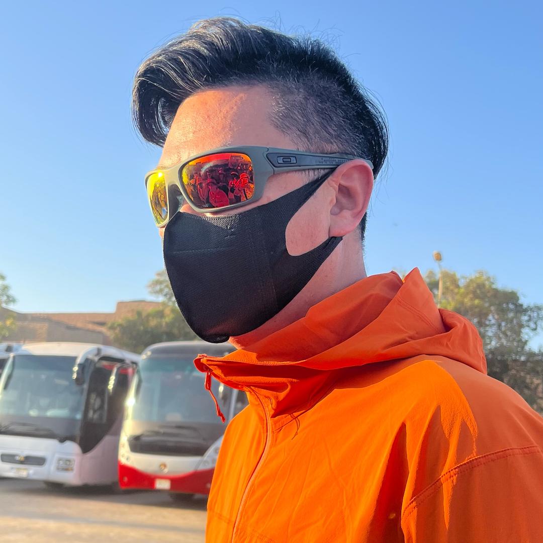 户外旅行海鸥