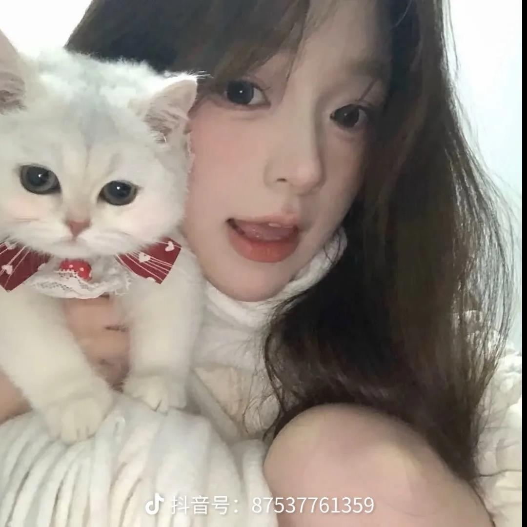 猫猫吖👒