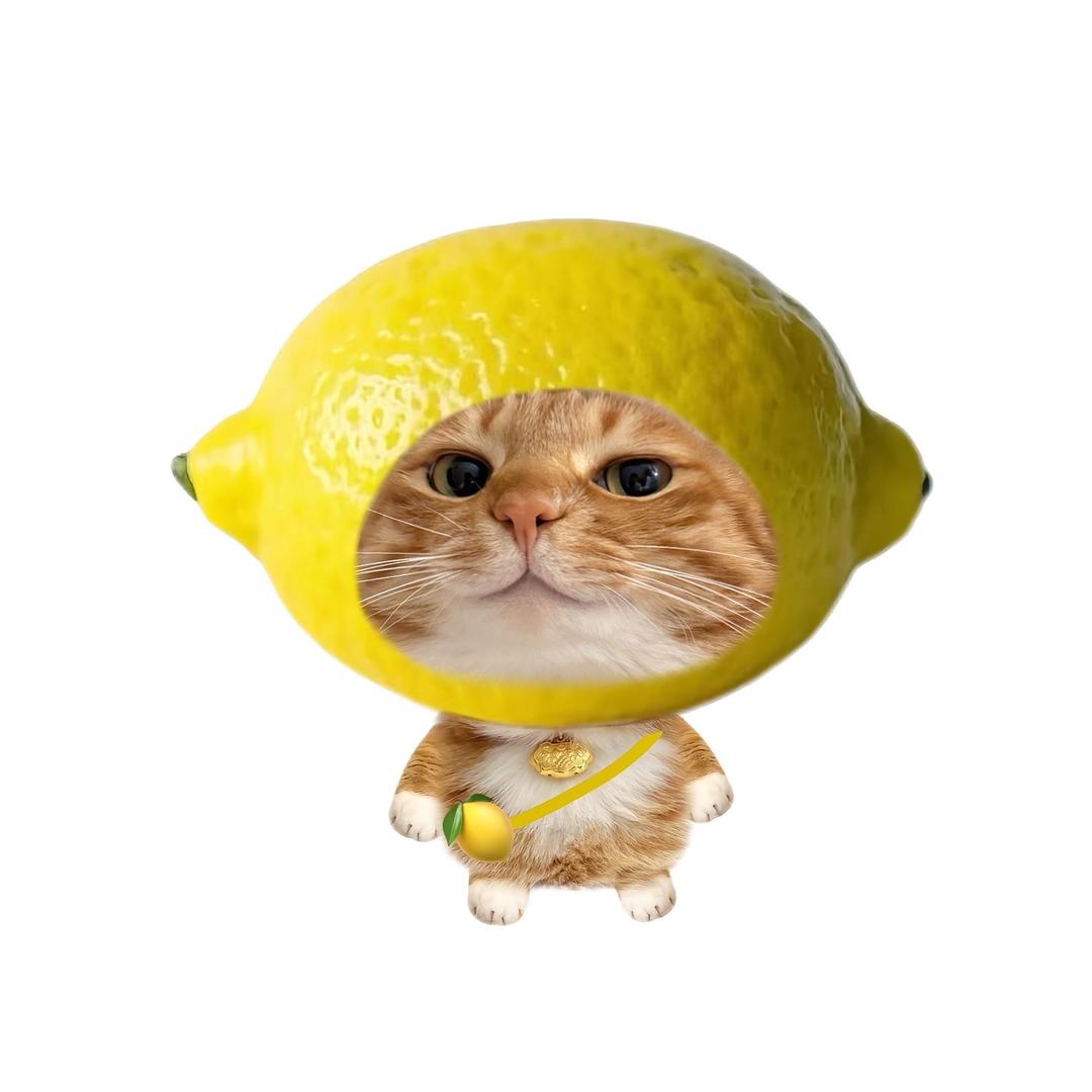 蜡笔小心眼子
