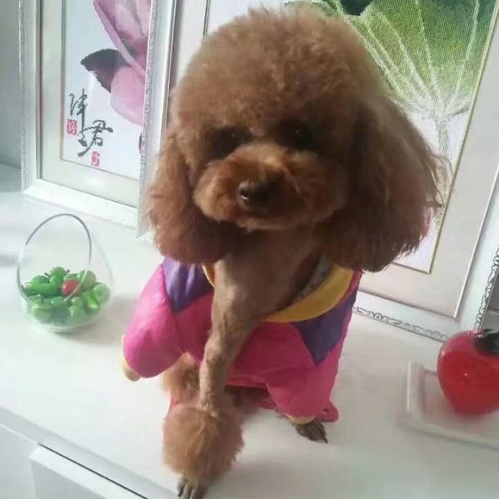 冷水加冰