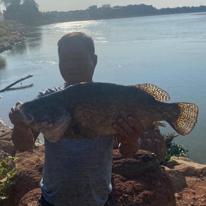 浪迹天涯🎣