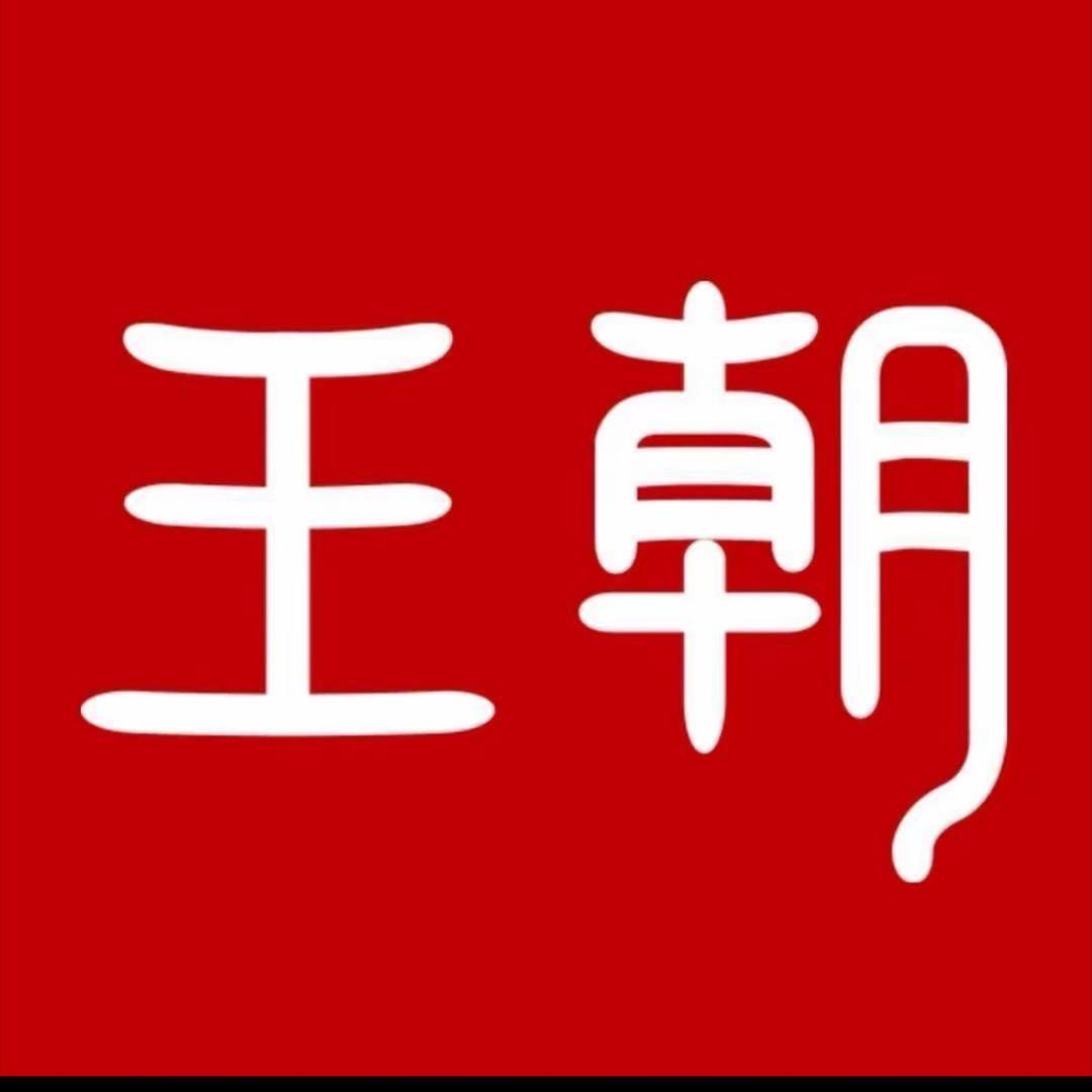 比亚迪王朝|深圳金环怡