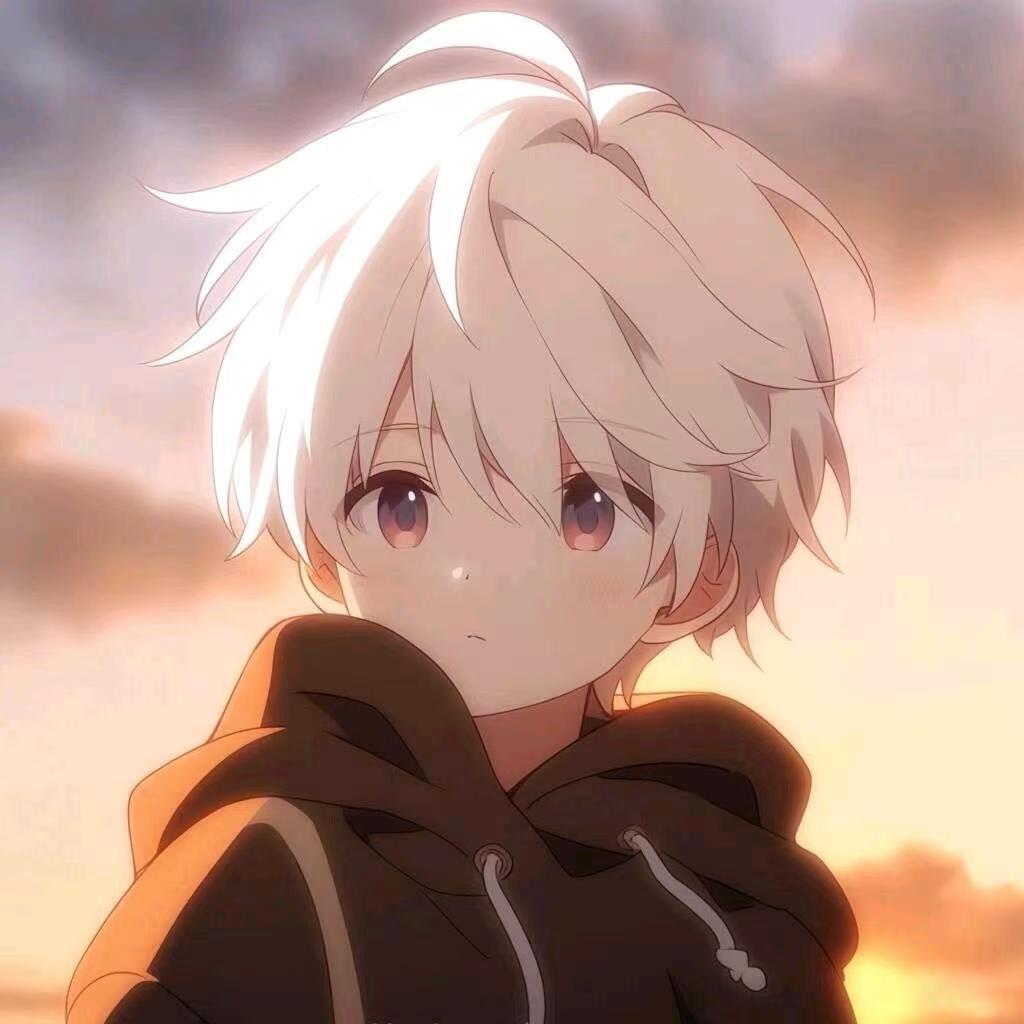 花海王者荣耀工作室（百段打野）