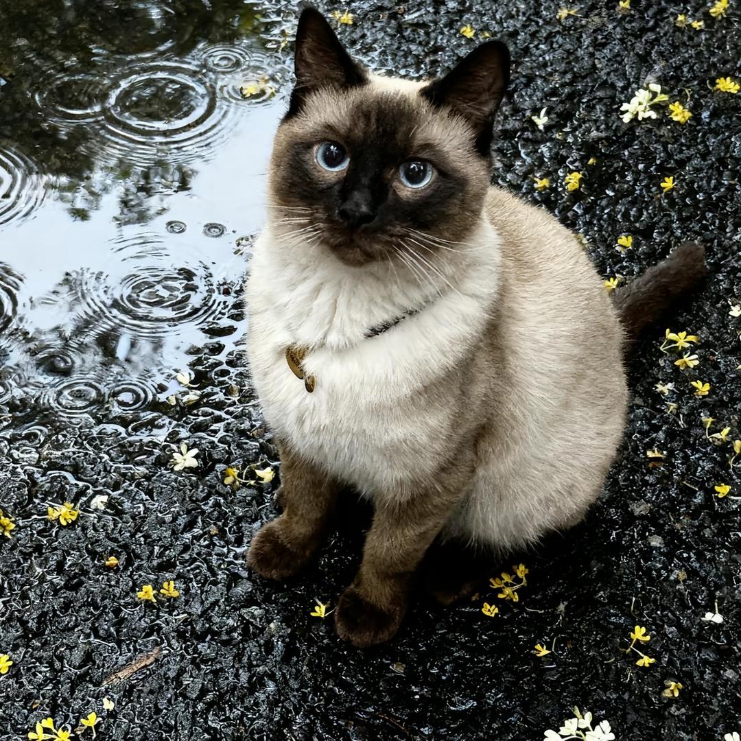 白玉林装饰小韩