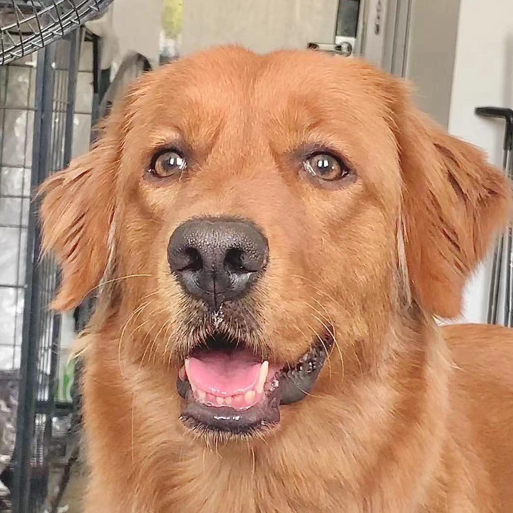 张楷霖🪵🌳🏝️🪾