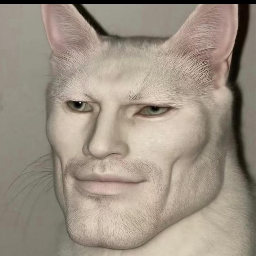 🦟    　　　　　　　　　　广告✖️