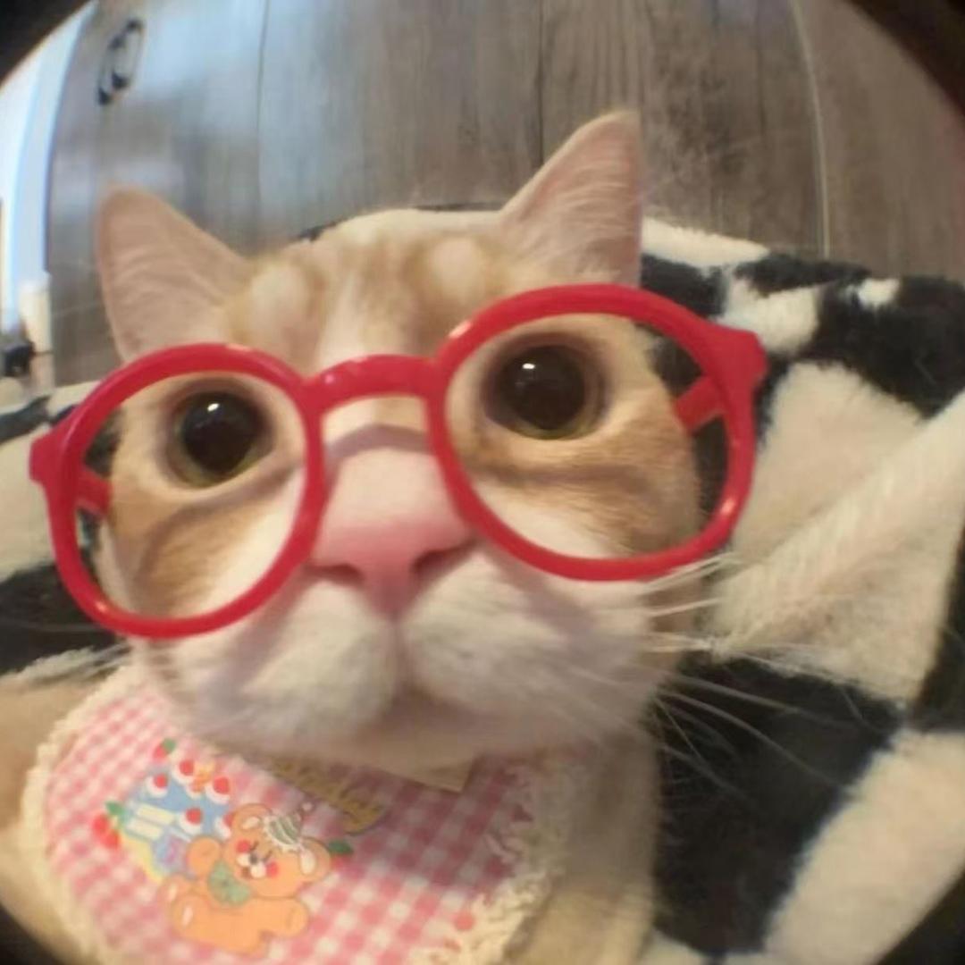 猫猫潮玩创意