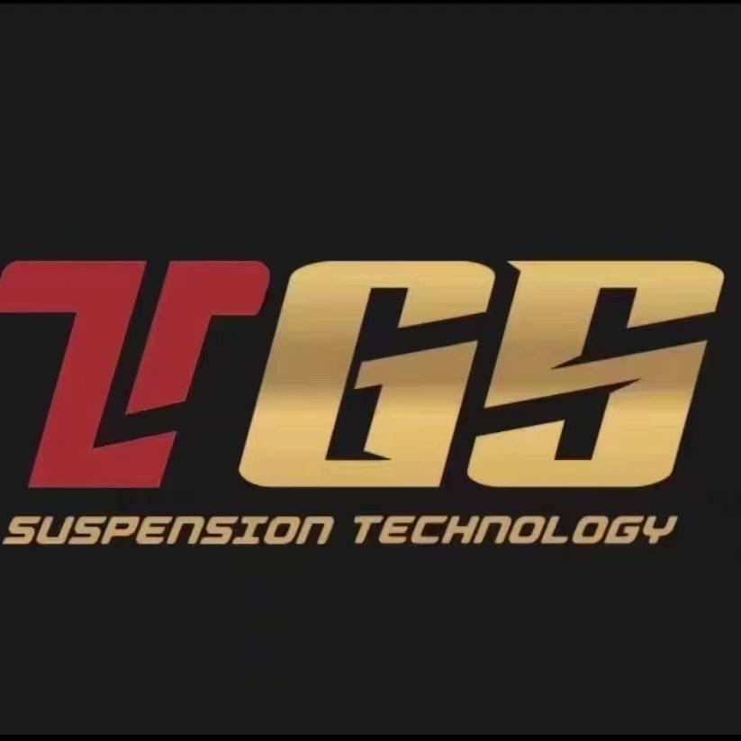 驱峰者TGS减震器店