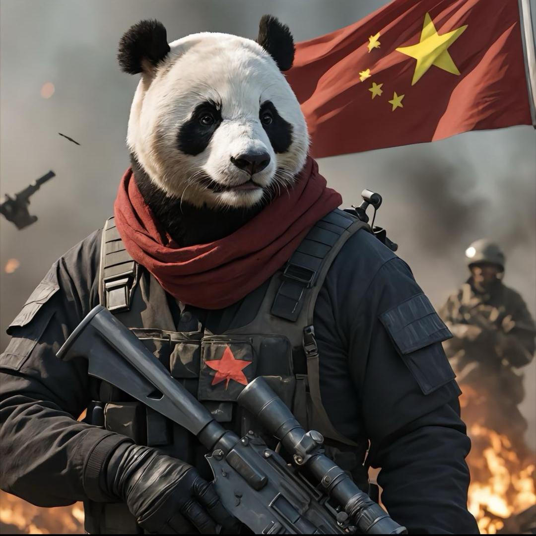 听风的蝉