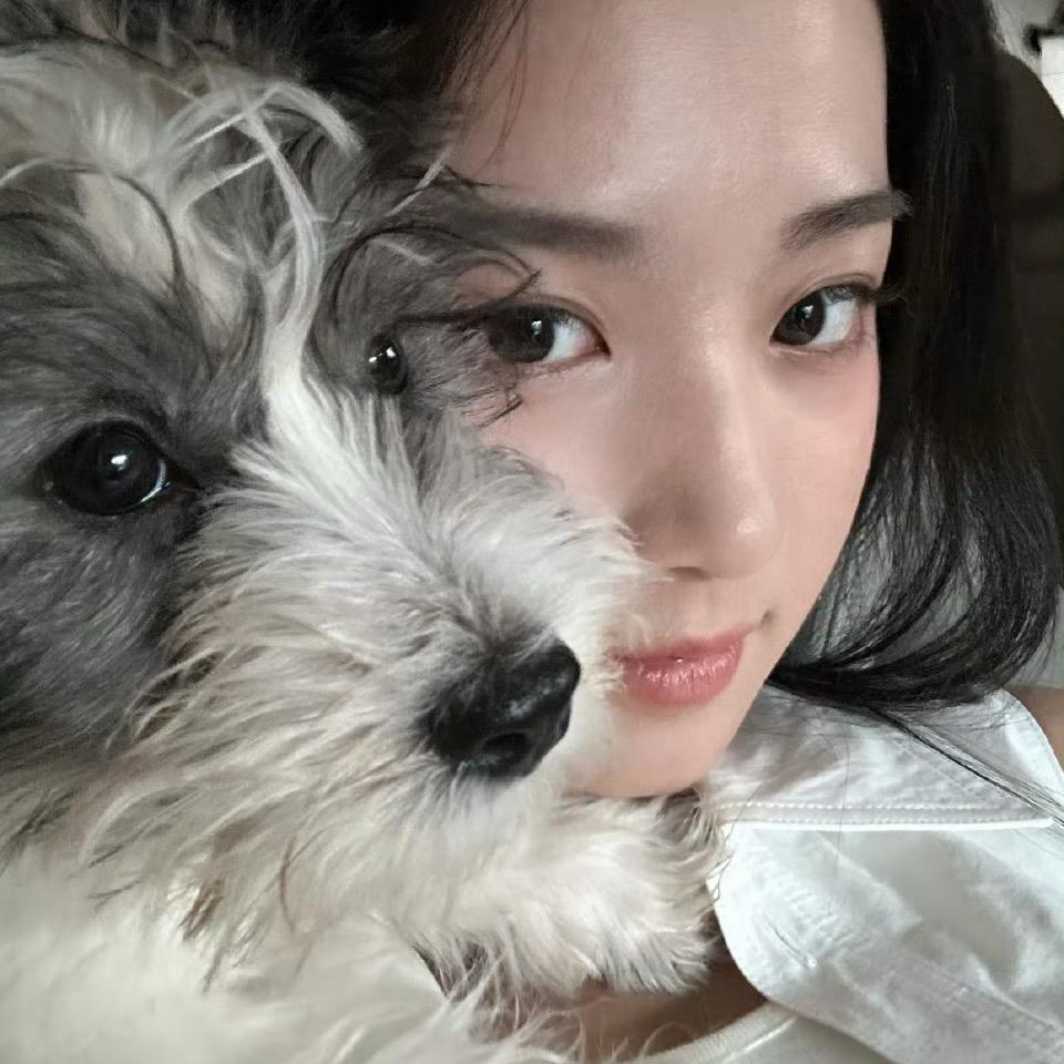 麻薯布丁