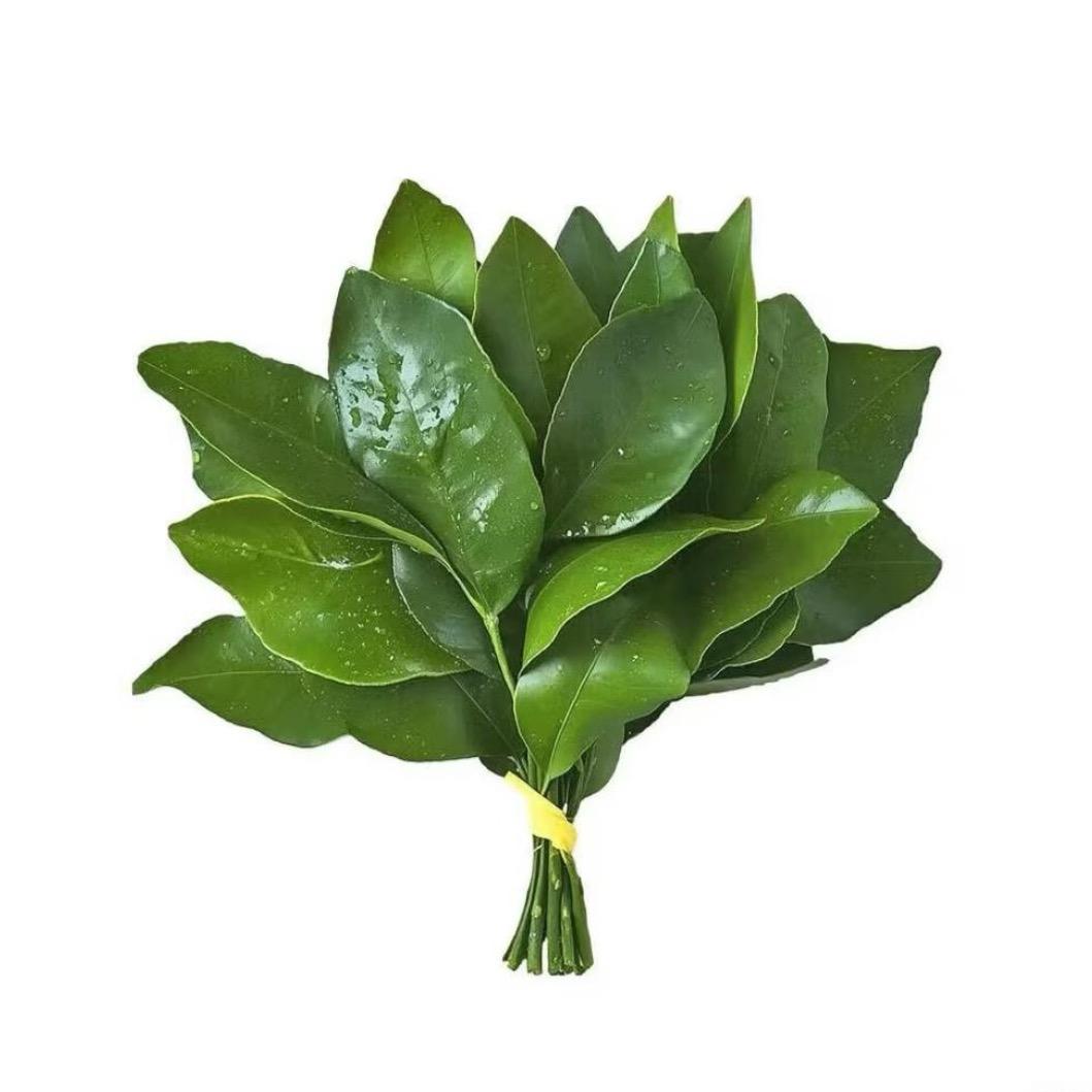 Zhaovo