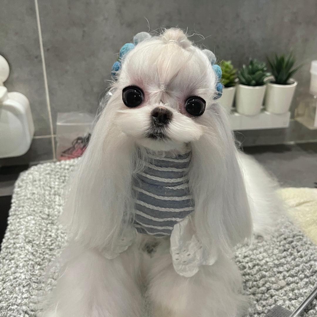 一个爱漂亮的vava
