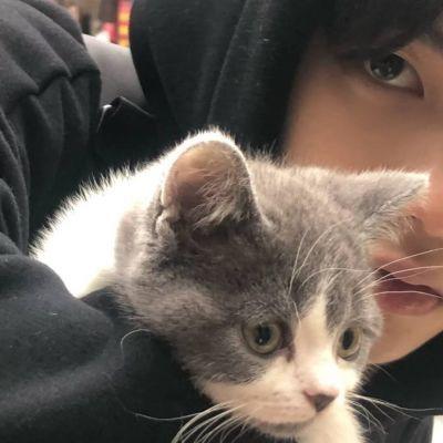 黑猫微剧✨