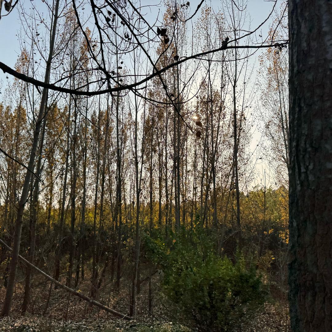 时光静好