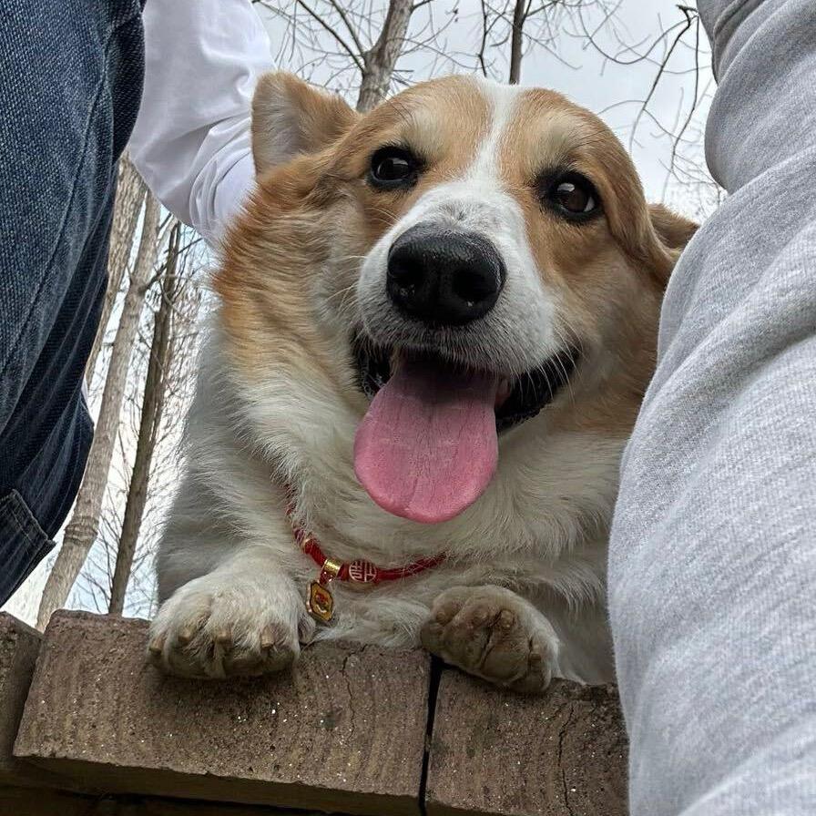 不争斋 | 符静远